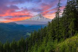 Oregon 2