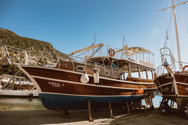 pexels-roman-odintsov-6585322
