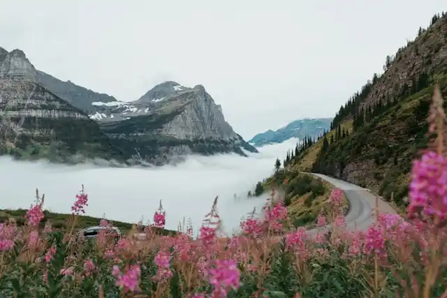 Montana