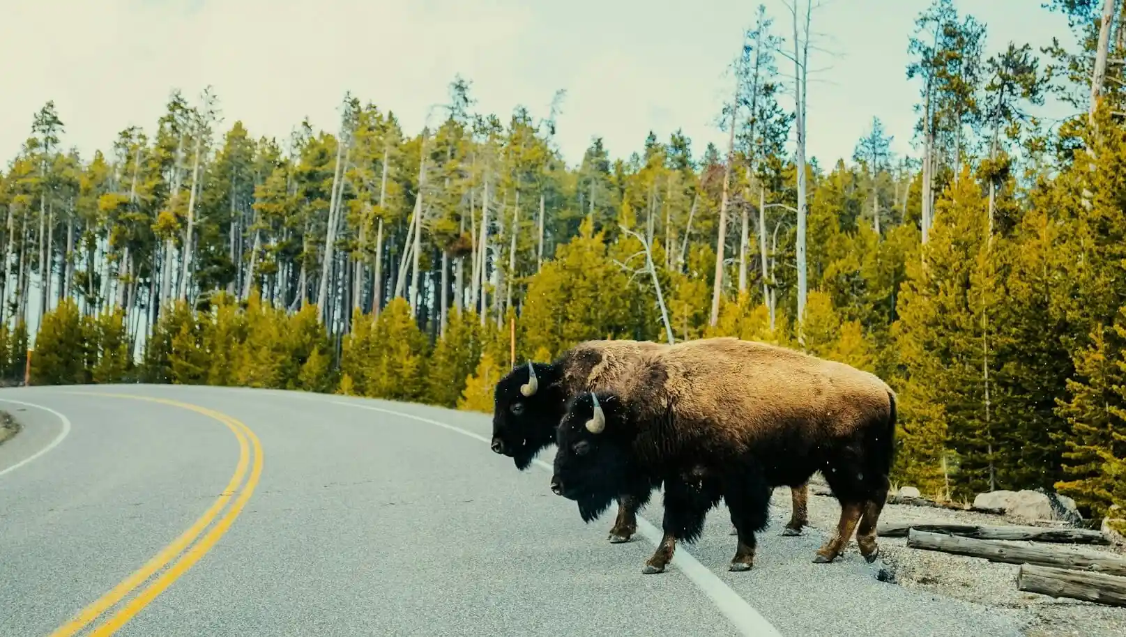 Wyoming