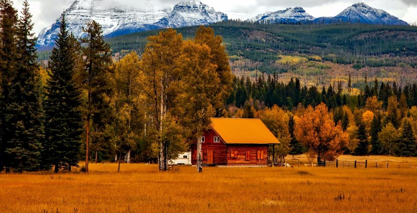 Brown Cabin Near Trees and Mountains